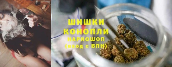 крисы Богородицк