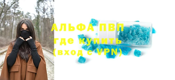 spice Богородск