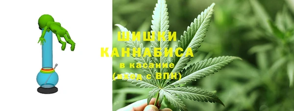 spice Богородск