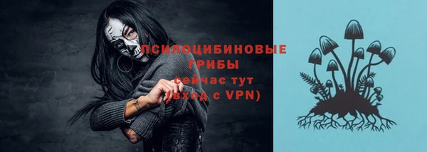 каннабис Богданович