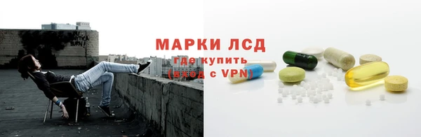 крисы Богородицк